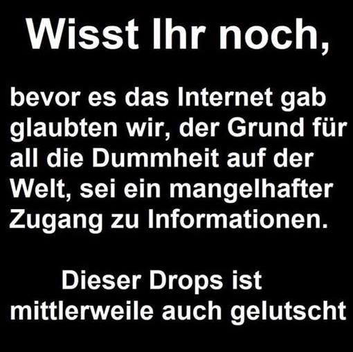 🤡📱 „Ich hab da mal was gelesen…“ – Die neue Verfassung der Ahnungslosigkeit