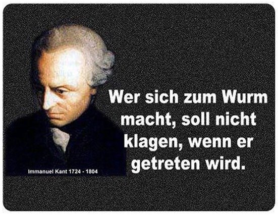 🏛️ Das Souveränitäts-Veto: Meine Verfassungsbeschwerde gegen die Entmündigung des Volkes (Statik 5.2) 2 Zitat Wurm Sklave Kant