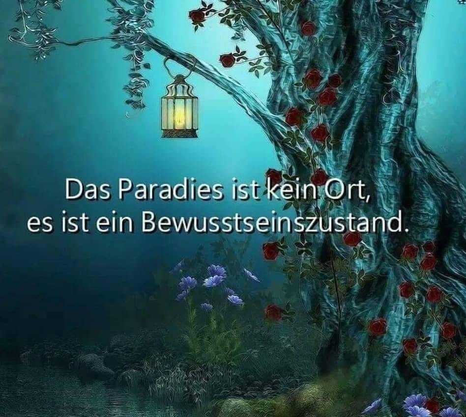 Der systemische Irrsinn im Hier und Jetzt: Wenn Angst die Seele frisst 6 Paradies