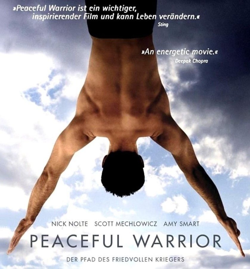 Peaceful Warrior – Der spirituelle Pfad des friedvollen Kriegers: Warum wahrer Menschenrechtsschutz im HIER und JETZT beginnt Peaceful Warrior – Der spirituelle Pfad des friedvollen Kriegers